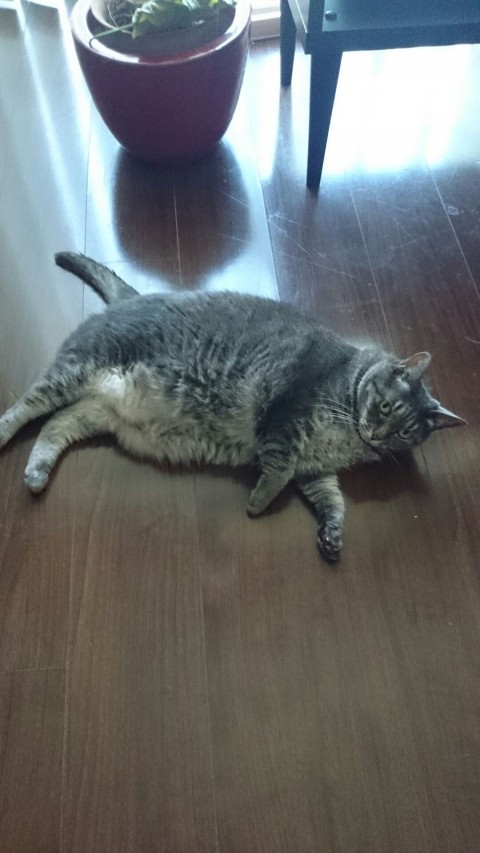 久しぶり♪
