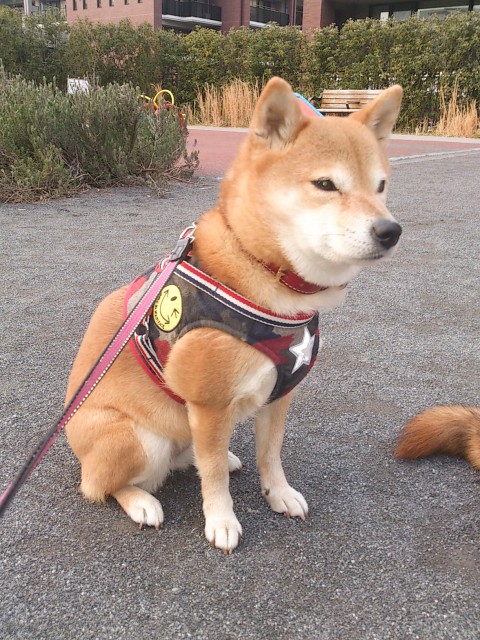 親子