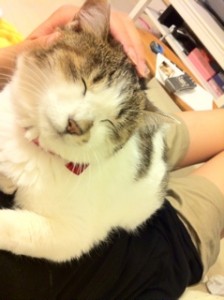 第二の人生