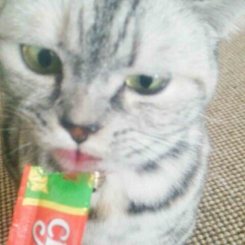 にゃ～んとジニー♪ o(=ёェё=)o ♪