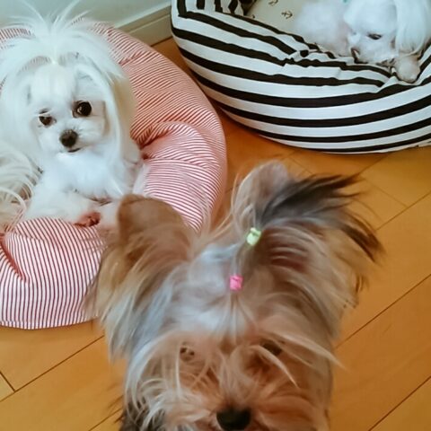 みんな一緒じゃなきゃ！！