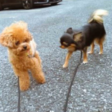 うれしい♪楽しい♪o(^o^)o | 東京都渋谷区