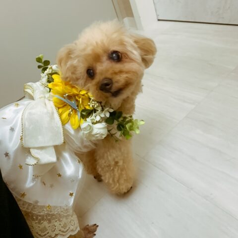 素敵な結婚式でした｜ウェディングシッター大阪