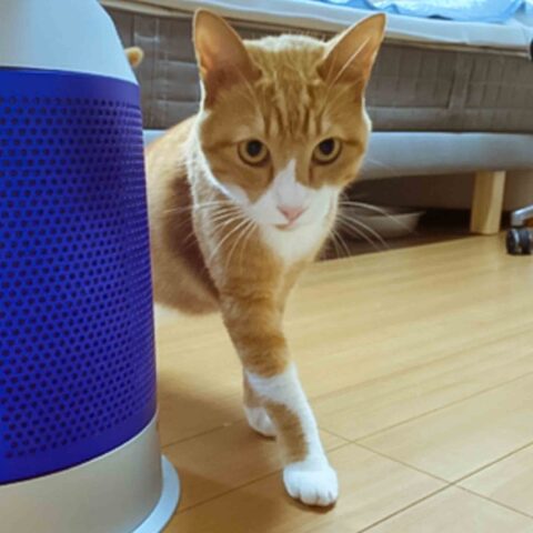 茶介と申します🎶以後お見知りおきを｜東京都町田市