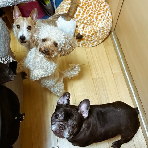 かわいい3人組｜大阪市西区