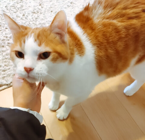 シャイなラテくんの変化｜大阪市天王寺区