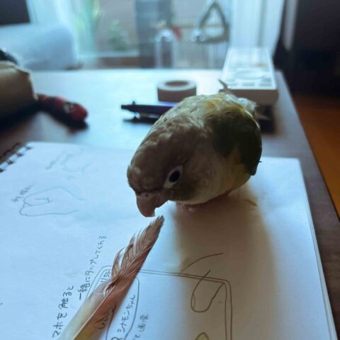 あまあまシナモンちゃん｜大阪市中央区