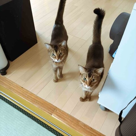 Three Handsome Brothers — Kawasaki-ku, Kawasaki
