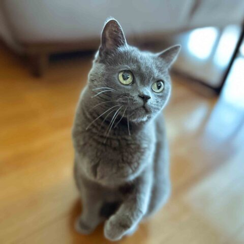♪ The Cutest of the Cute — Kawasaki-ku, Kawasaki