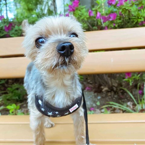 "Let's Go for a Walk~!" — Tennoji-ku, Osaka