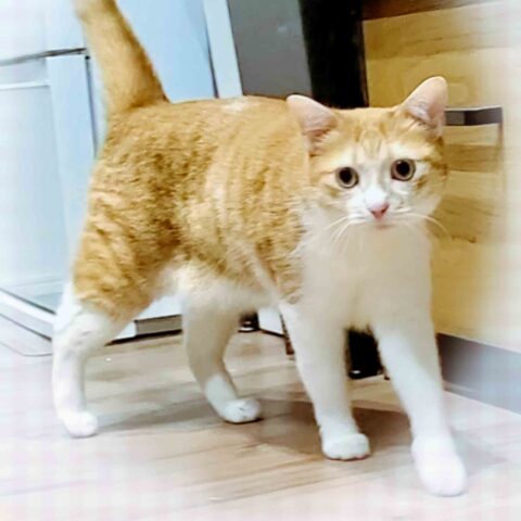 Welcome to Our Home!! — Suginami-ku, Tokyo