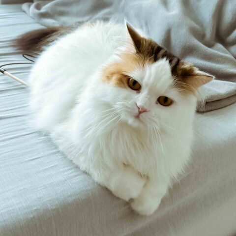 Can You Guess Her Name? — Yodogawa-ku, Osaka
