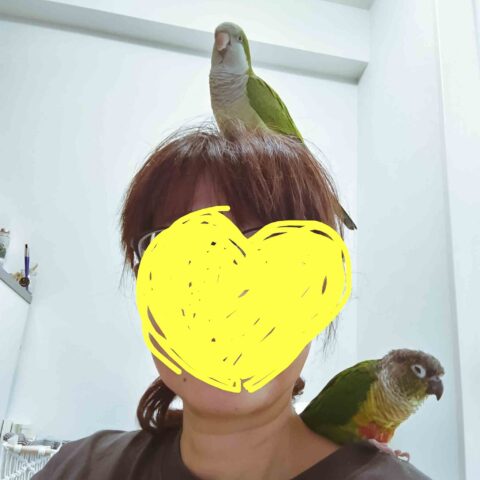 Perched on My Shoulder and My Head — Hyogo-ku, Kobe