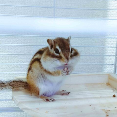 So Cute I Couldn't Stop Snapping Photos! — Amagasaki, Hyogo