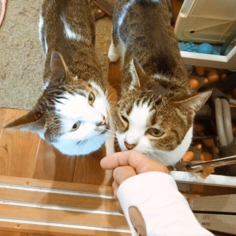 女子力アップトレーニング。 - 東京都狛江市