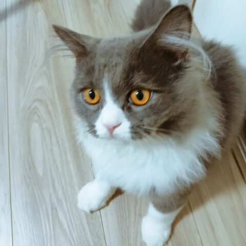 His First Time Home Alone — Naka Ward, Yokohama