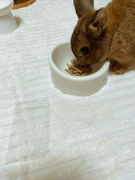 少しずつ距離を縮める桃代ちゃん