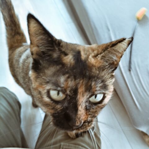 Reunited, Part 3 — Chuo-ku, Kobe