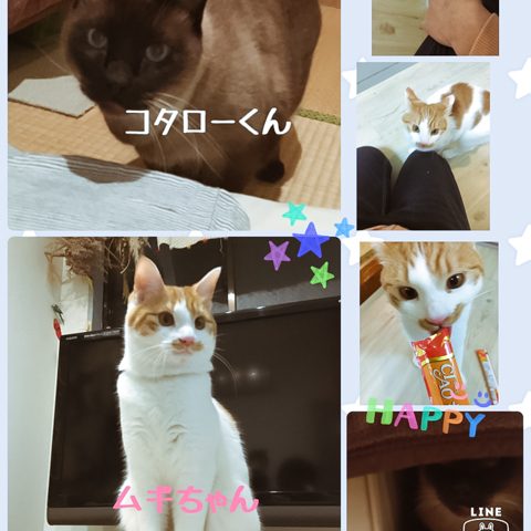 お留守は私が守るから｜大阪市淀川区