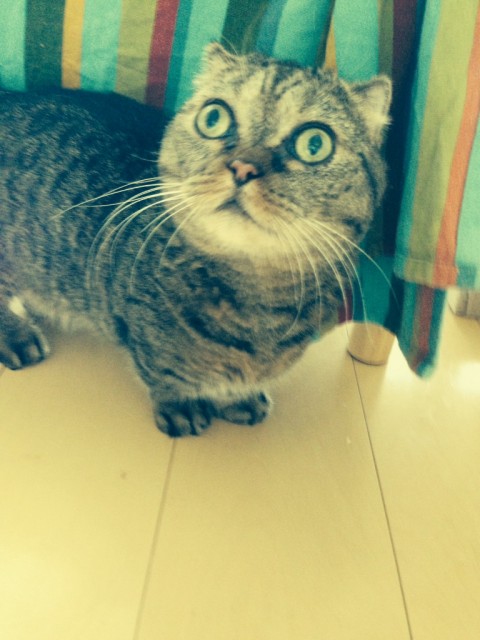 個性って素敵です