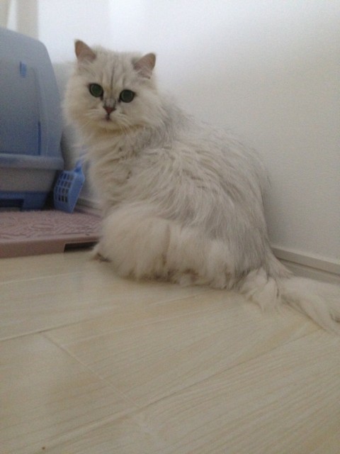 ムムちゃん可愛い