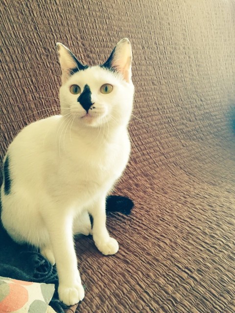 コアラちゃんとメロンちゃん