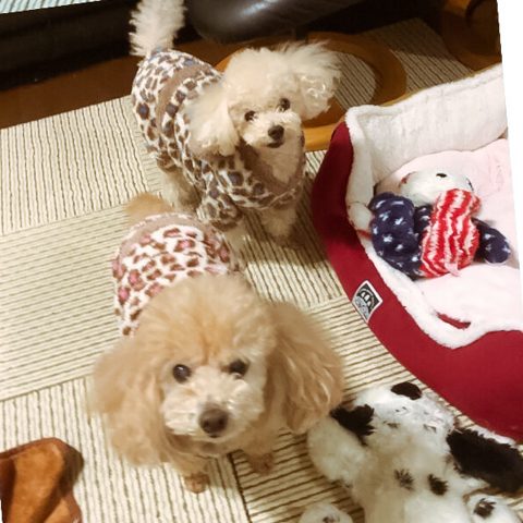 また会えた！(*^^*) | 東京都世田谷区